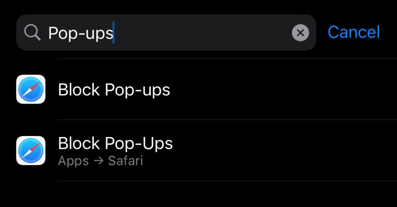 iPhone setting search bar with word pop-ups within